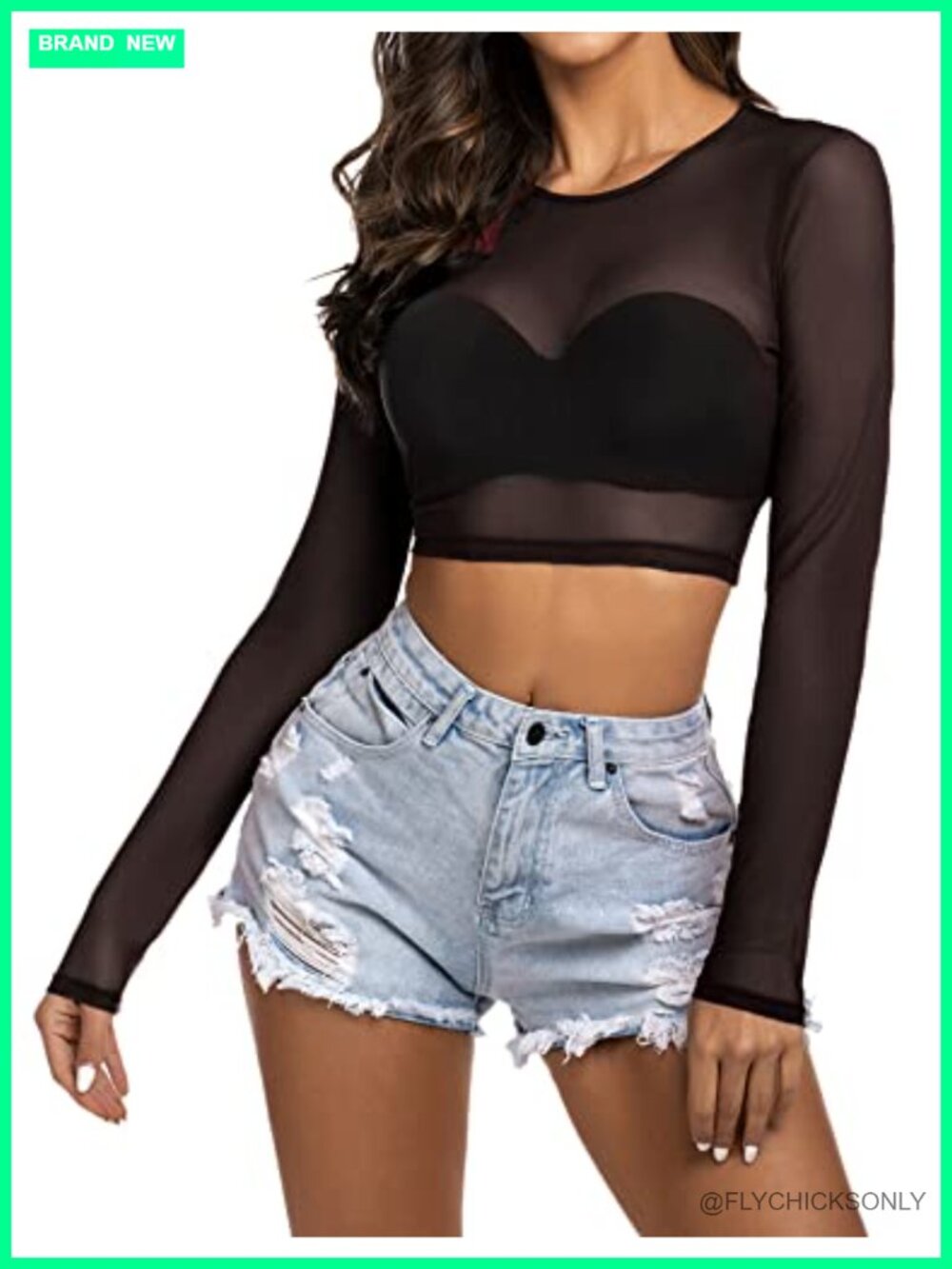 Women Sheer Mesh Crop Top Long Sleeve See Through Clubwear Shirt